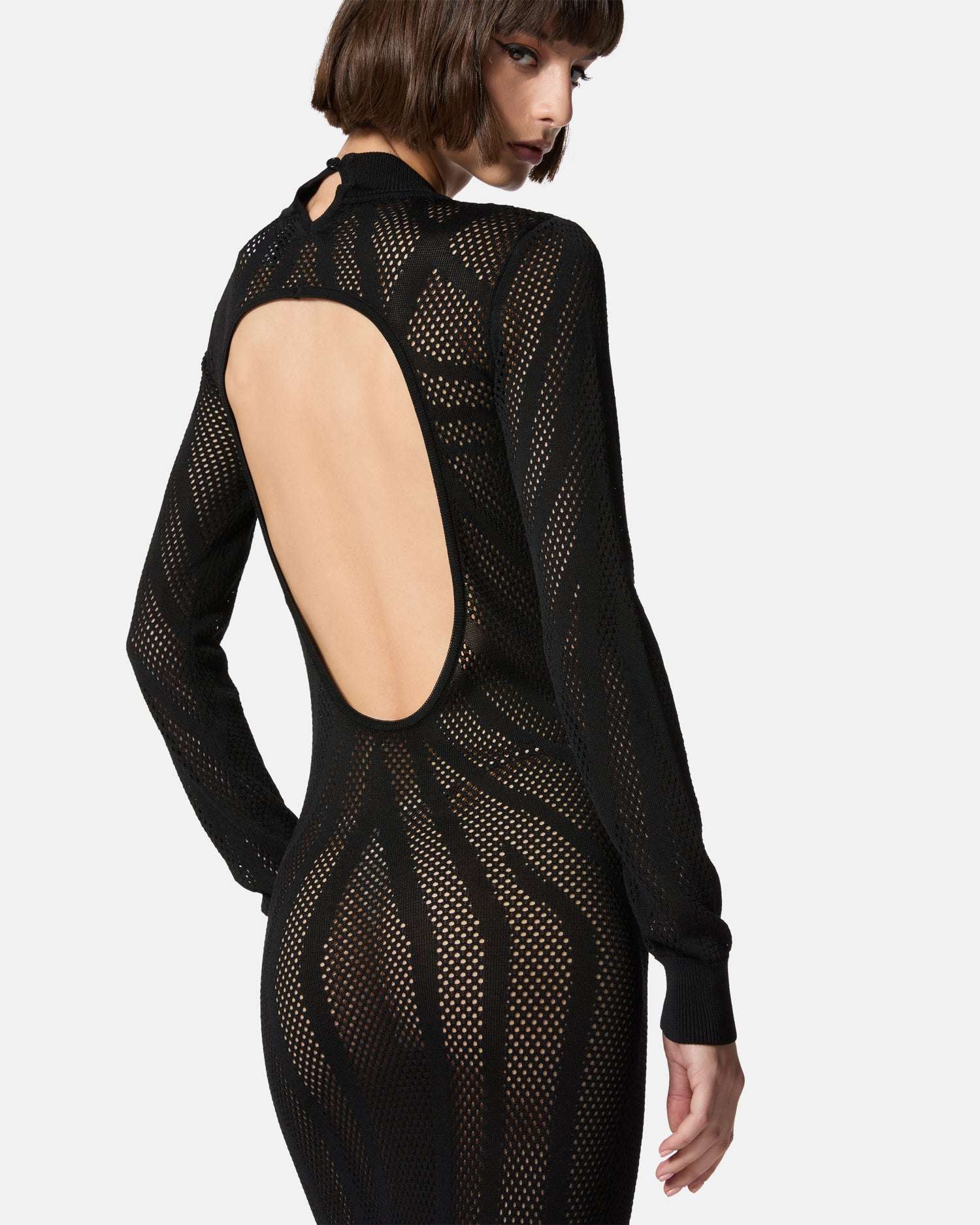 Long sheer long sleeve dress with worked details Dress