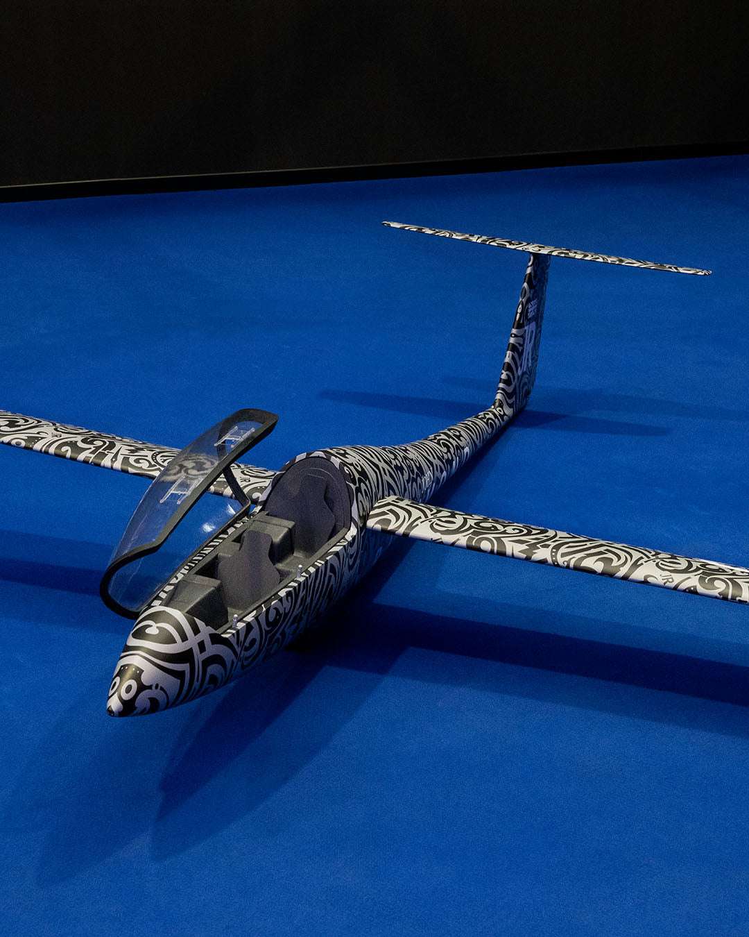 Aliante John Richmond