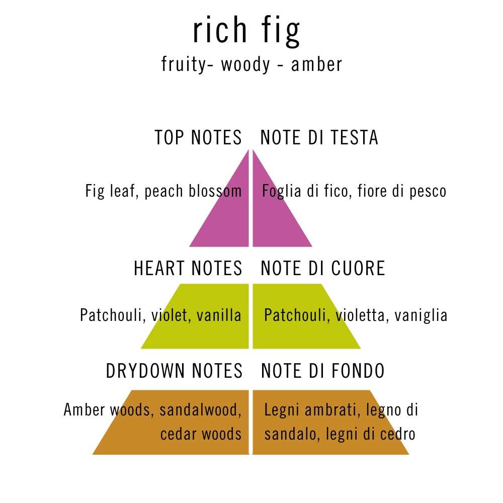 Unknown Pleasure - Rich fig