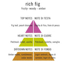 Unknown Pleasure - Rich fig